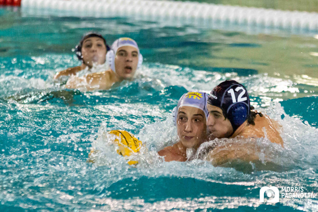 Poli in azione