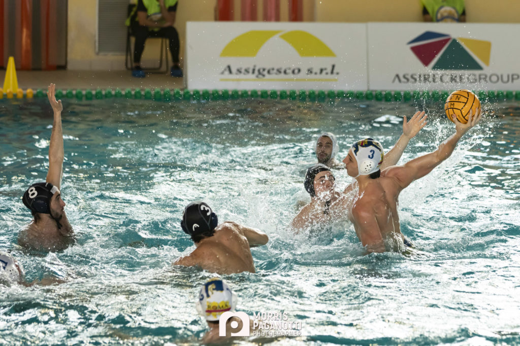 Poli in azione
