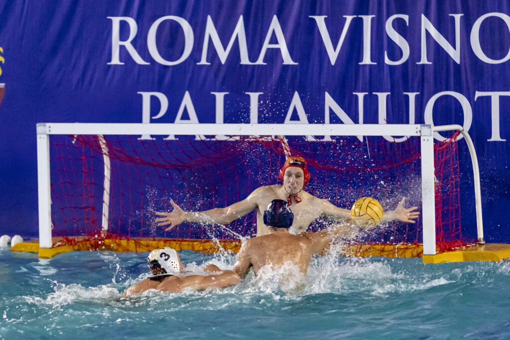 Correggia in azione