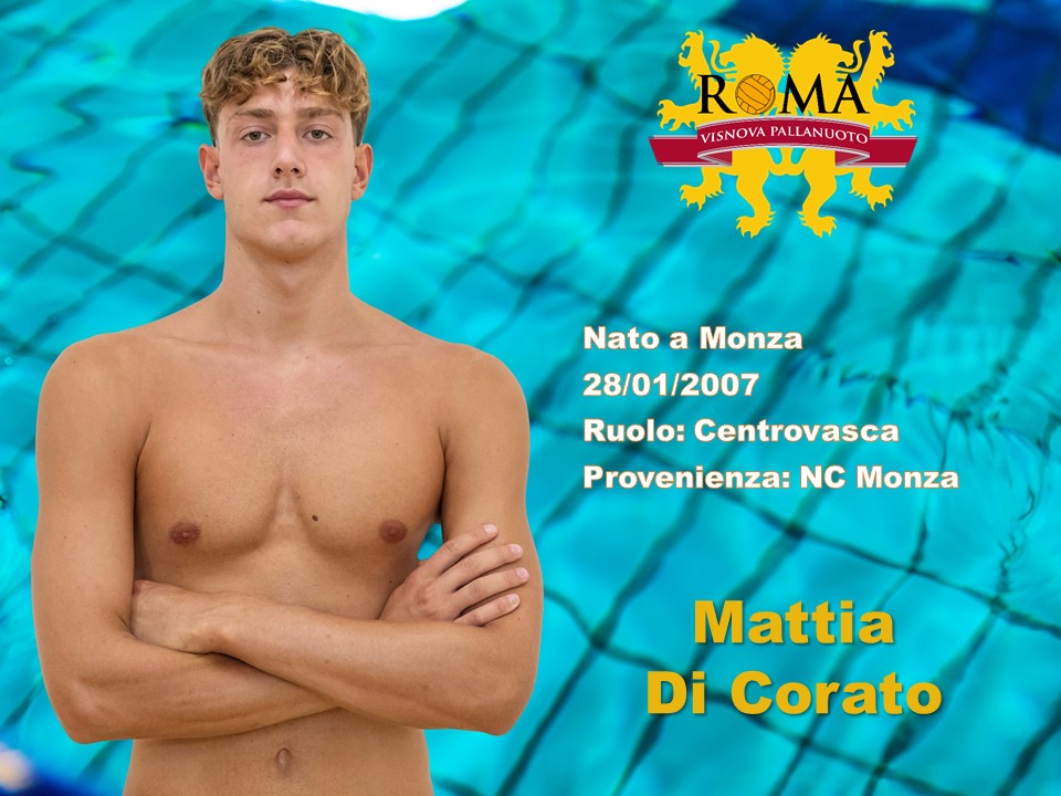 Diapositiva16